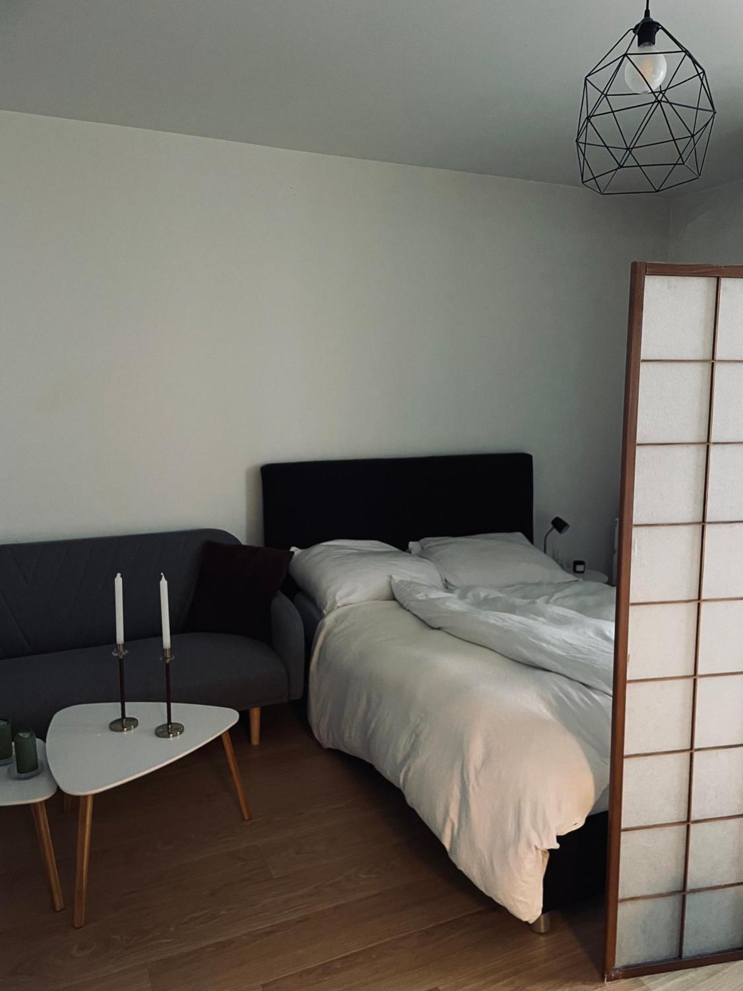 Cozy Apartment, Close To Center Of Beautiful Apartament Praga